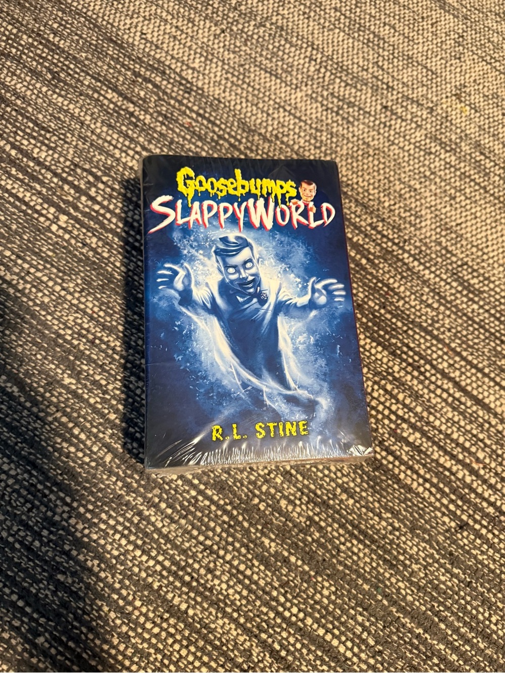 SlappyWorld R.L. Stine Book Series - Blue